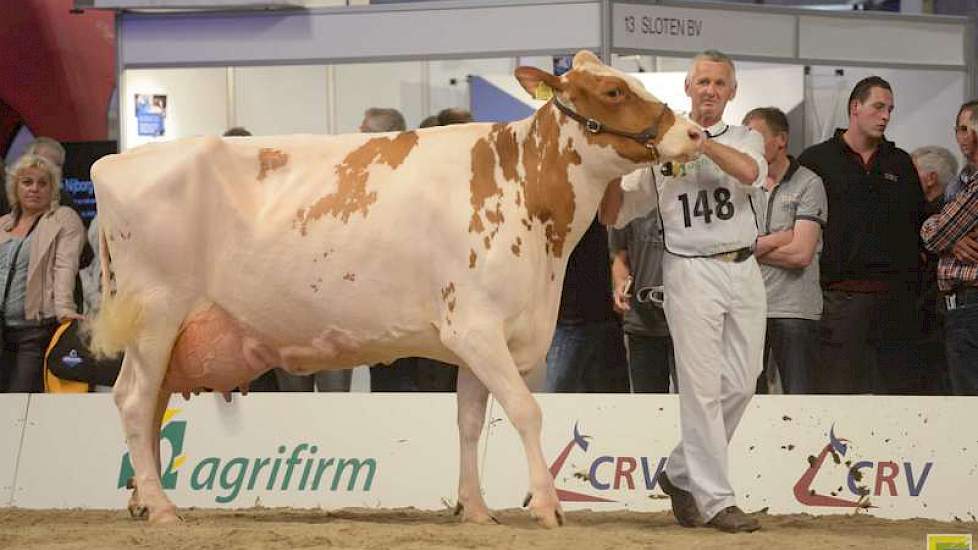 Temeer omdat hun Grashoek Maria 4 (Warsteiner x Classic) tevens het reservekampioenschap opeiste.