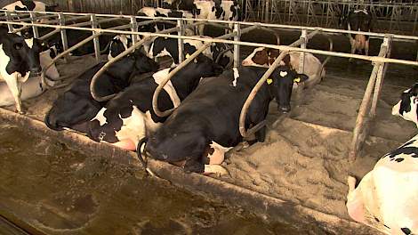 Video: Praktijkervaring zand in de boxen