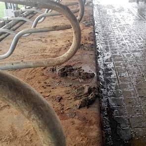 In de stallen is een vloer gelegd met betonijzerprofiel, waardoor het oppervlak minder glad is. Ook is te zien dat de mest na twee weken ander voer verstrekken, er al een stuk beter uitziet.