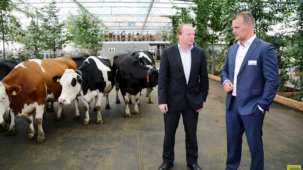 Chris Bomers werkt in maatschap met zijn ouders. Samen vormen zij Kraanswijk, een biologisch melkveebedrijf, met 160 melkkoeien en 120 stuks jongvee. In totaal beheert de familie 110 hectare grond. Op 70 hectare wordt voer voor het vee ingewonnen en graze