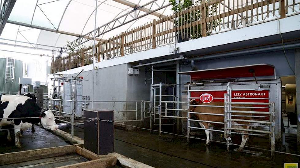 Op het bedrijf in Groenlo is gekozen voor melkrobots van Lely.