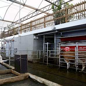 Op het bedrijf in Groenlo is gekozen voor melkrobots van Lely.