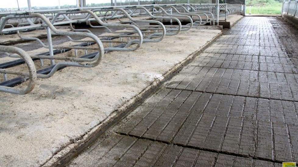 Op de comfortabele Erri-matrassen uit Denemarken ligt gemalen koolzaadstro met een beetje kalk. De emissiearme vloer, de mestrobot, en onder meer de led-verlichting - die alleen ín de stal schijnt, maken dat ze voldoen aan de Maatlat Duurzame Veehouderij.