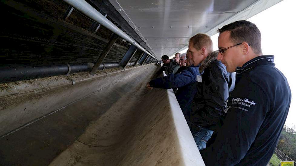 De koeien worden gevoerd middels een Feedwall. Een Finse uitvinding waarbij het voer niet meer aangeveegd hoeft te worden. Eventuele voerresten die toch achterblijven worden door stagiaires handmatig verwijderd.