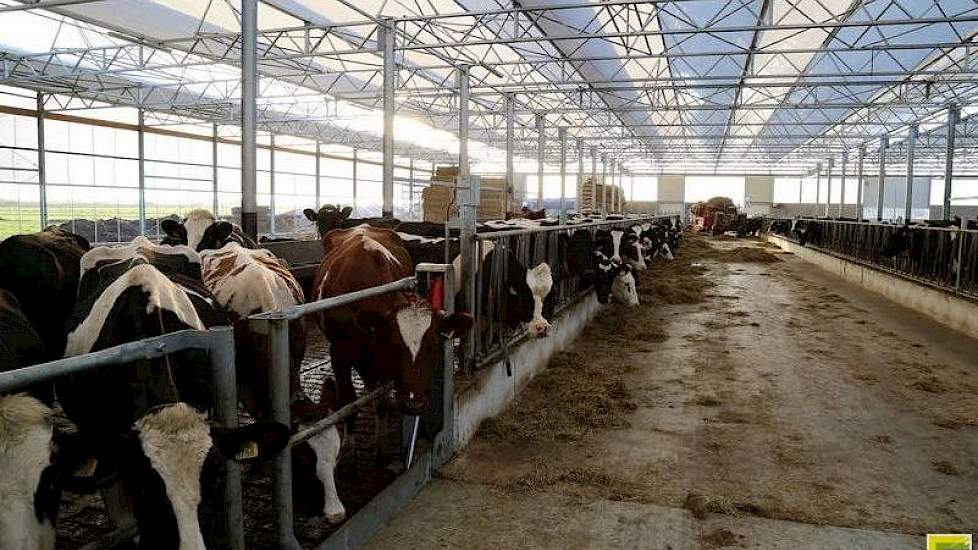 Ardy en Ivanka de Goeij bouwden dit jaar een vrijloopstal voor 200 koeien.