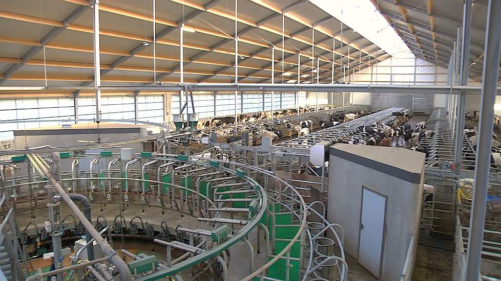 Nieuwe stal en 40 stands zij-aan-zij binnenmelker - www.melkvee.nl