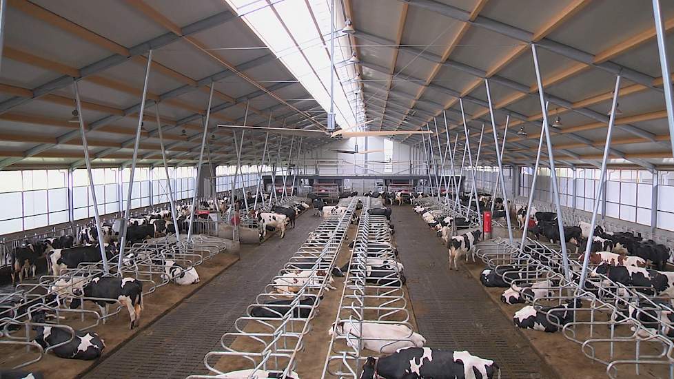 Nieuw modern melkveebedrijf voor Beker in Brummen - www.melkvee.nl
