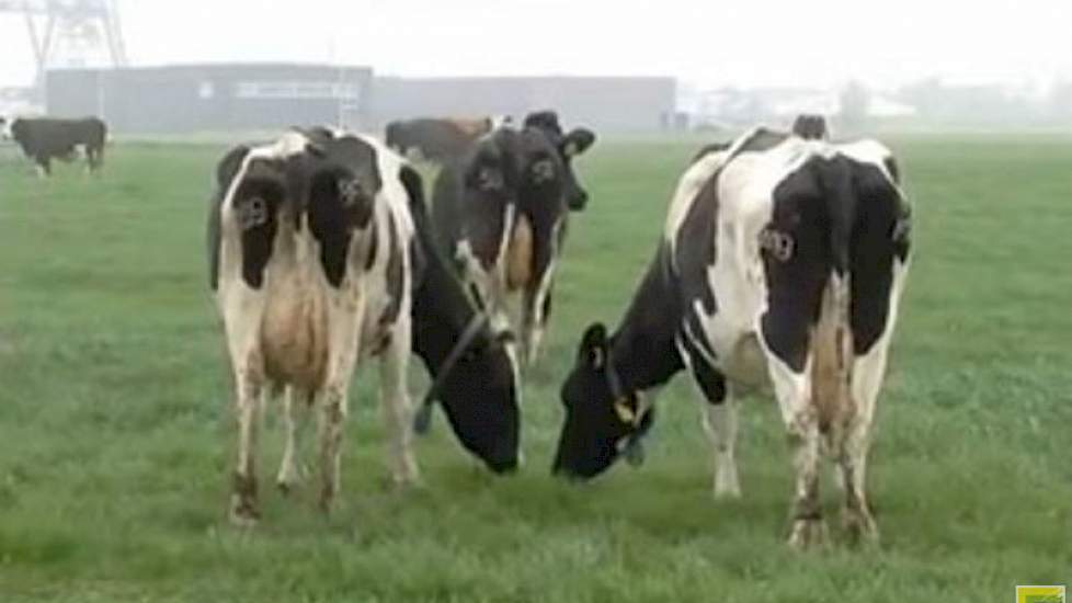 Column: Wat als weiden nog niet kan | Melkvee.nl - Nieuws en kennis