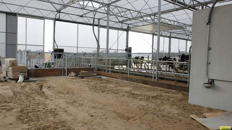 Deze transitieruimte is bedoeld voor koeien tot twee weken na het kalven. Zodra ze de ruimte in gebruik nemen, komt er stro in.