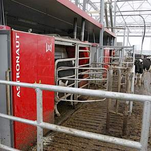 De koeien werden in de oude stal gemolken met twee melkrobots, wat eigenlijk niet efficiënt was omdat er maar 80 koeien op liepen. De robots zijn aangeschaft nadat Willie rugklachten kreeg. Deze robots zijn inmiddels overgeplaatst naar de nieuwe stal. Al