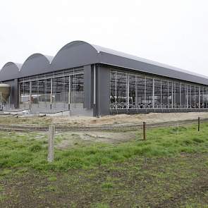 De keuze voor de serrestal is vooral vanwege de grote hoeveelheid lucht en licht die de stal heeft. Wat kosten betreft maakt het volgens Willie Peters niet zoveel uit. ‘Als je na 15 jaar het doek een keer vervangt, zit je op dezelfde kostprijs als bij een