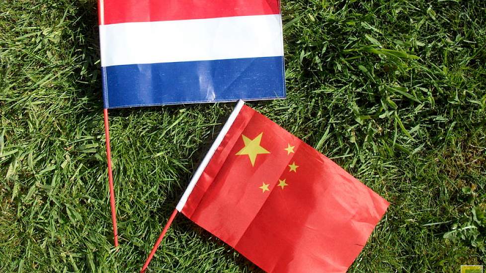 31 studenten Dier- en Veehouderij & Tuin- en Akkerbouw en 2 docenten van CAH Vilentum te Dronten, reisden af naar Beijing (China) om daar te leren over de grote verschillen qua veehouderij in vergelijking tot de Nederlandse gebruiken, plus de enorme varia