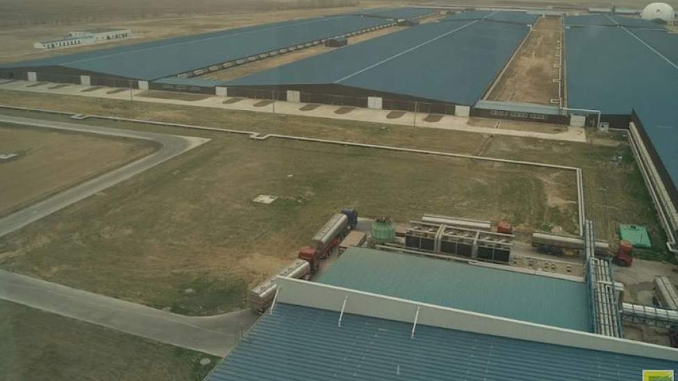 De Chinese melkveehouderij is bezig met een inhaalslag op de Europese zuivelsector. Om mee te komen op de wereldmarkt wordt veel kennis uit het buitenland gehaald. Het meerendeel van de bedrijven is kleinschalig, een paar koeien per bedrijf. Maar een klei