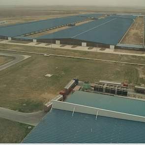 De Chinese melkveehouderij is bezig met een inhaalslag op de Europese zuivelsector. Om mee te komen op de wereldmarkt wordt veel kennis uit het buitenland gehaald. Het meerendeel van de bedrijven is kleinschalig, een paar koeien per bedrijf. Maar een klei