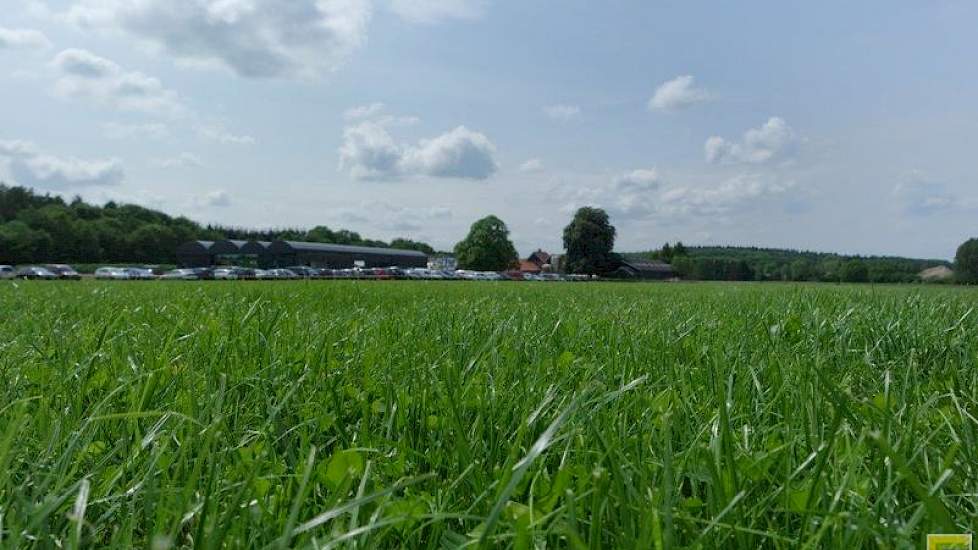 Er is bewust gekozen voor weidegang. Bij graslandvernieuwing gaat er een gras/klaver mengsel de grond in. Niet omdat de maatschap Harkink – Sleumer biologisch boert maar vanwege de afnemende bemestingsruimte. Ook is de gras/klaverweide smakelijker, vooral