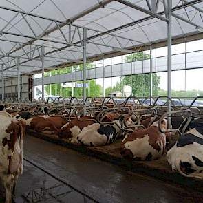 Mede dankzij de Doro box gaan de koeien graag liggen in de diepstrooiselboxen, die zijn gevuld met meststrooisel. Dat doet Bennie Essink uit het naburige Barchem, die in 2014 stopte met melken en zich specialiseerde in meststrooisel. Zijn mestverwerkingsm