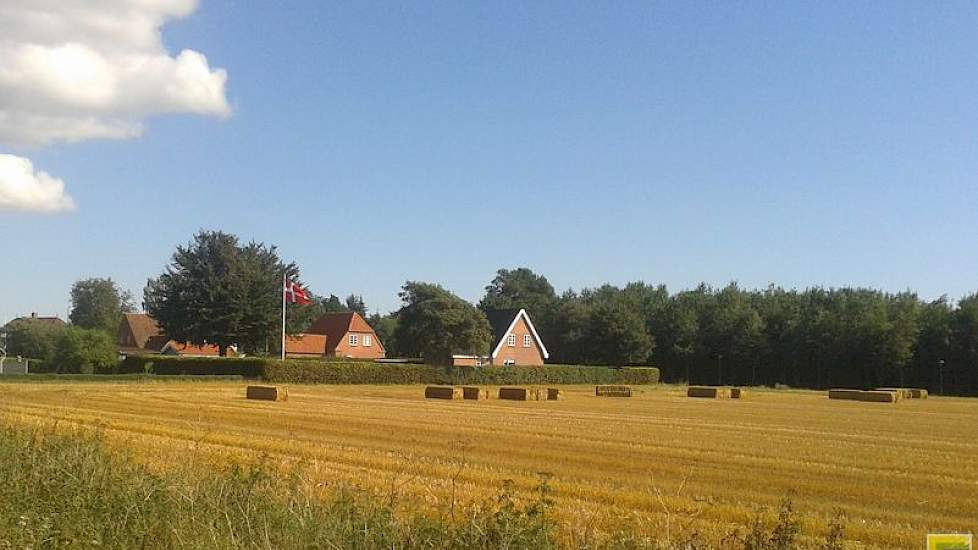 verschil in kwaliteit Frans en Deens stro | Melkvee.nl Nieuws en kennis voor melkveehouder