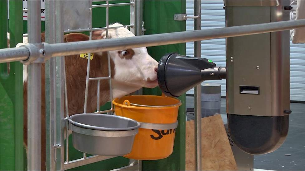 EuroTier 2016: Automatisch voeren van kalveren met de Calf Rail - www.melkvee.nl