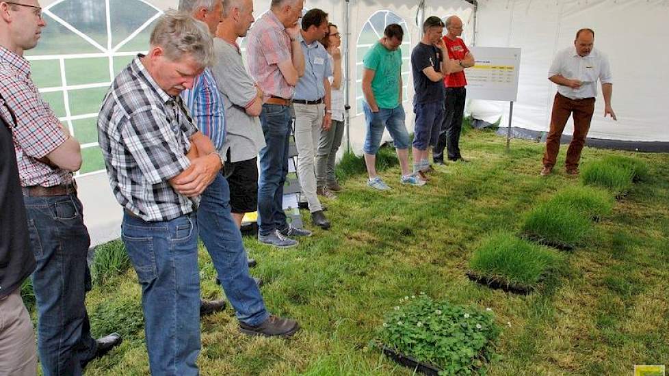Edward Ensing van Barenbrug gaf uitleg over verschillende grasrassen in het land.