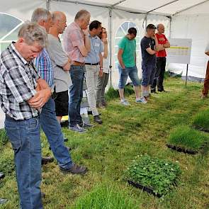 Edward Ensing van Barenbrug gaf uitleg over verschillende grasrassen in het land.