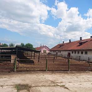 De strak georganiseerde melkveehouderij moet het doen met gedateerde gebouwen uit de Sovjet-tijd. Er wordt gemolken in een goed onderhouden 2 x10 zij aan zij melkstal  van het merk DeLaval. Petcu gaat ervan uit dat de boerderij binnenkort wordt opgekocht