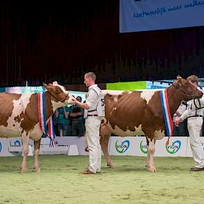 Het kampioensduo van de jonge roodbonten. De krachtige Heerenbrink Dina 382 kreeg net als in de rubriek de voorkeur boven de fijnere Barendonk Paulina 188. Met Drouner AJDH Aiko 1288 als derde op tal vielen alle prijzen in de oudste rubriek van de vaarzen