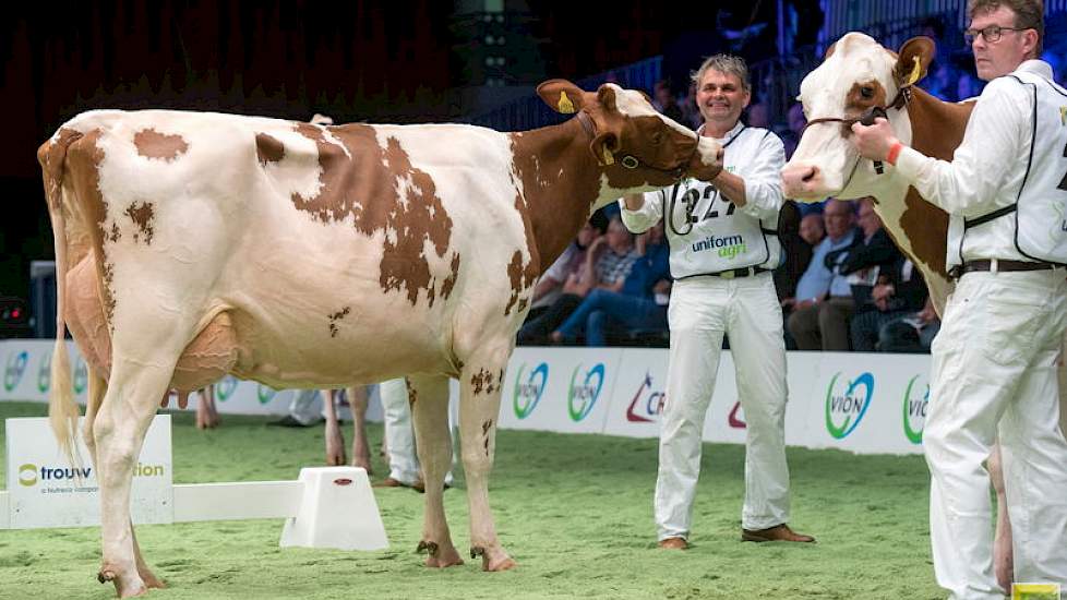 Brook Marie 70, een Altatimon-halfzuster van de 1A, werd derde in deze rubriek.