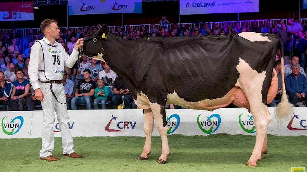 Lauthoritydochter Bons-Holsteins Dikkie 183 van Nico Bons werd uiteindelijk 1A in rubriek 5.