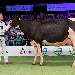 Lauthoritydochter Bons-Holsteins Dikkie 183 van Nico Bons werd uiteindelijk 1A in rubriek 5.