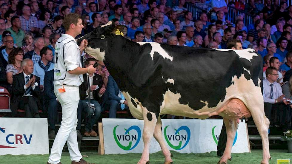 De reservekampioene van de middenklasse op de HHH-show, Willems Hoeve Rita 9863 (v. Danillo) werd 1C.