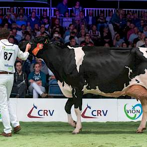 Zij werd gevolgd door Vink Blesje 162, een Goldfarmdochter van de familie Vink uit Ottoland.