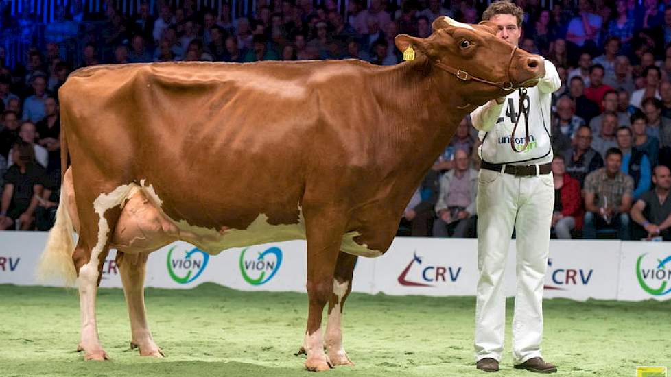 P.M. Elza 159 van de familie Pinkert kwam op 1B. De Talentinodochter paste goed bij haar voorganger.