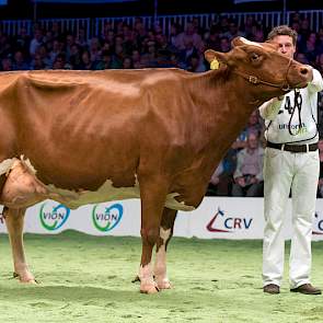 P.M. Elza 159 van de familie Pinkert kwam op 1B. De Talentinodochter paste goed bij haar voorganger.