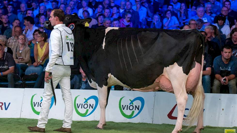 Rubriek 8 werd aangevoerd door de zeer fraaie en correct gebouwde Windbrookdochter Southland Windbrook Gina van de familie Van Beek.