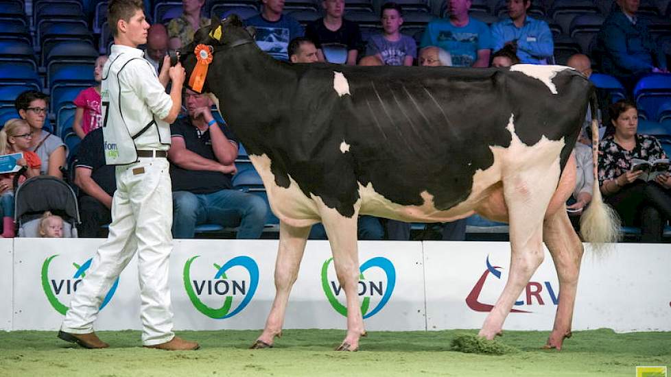 PR Beauty Vera 2 is een Moguldochter van Schep Holsteins, Bergambacht. Zij werd 1B in de rubriek.