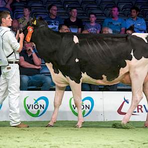 PR Beauty Vera 2 is een Moguldochter van Schep Holsteins, Bergambacht. Zij werd 1B in de rubriek.
