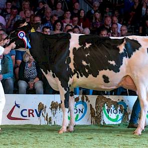 De middenklasse bij de zwartbonten startte met rubriek 4. 1A werd de zeer, grote, wat smalle Doormandochter JK DG Esmeralda van Jan Kolff uit Woudrichem. Als vaars was ze reservekampioene op de HHH-show.