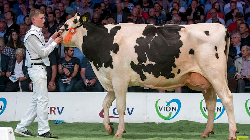 Op 1C volgde Holec Redrose Braxy 2, een Braxtondochter van de familie Kuijer uit Soest.