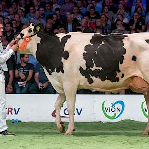 Op 1C volgde Holec Redrose Braxy 2, een Braxtondochter van de familie Kuijer uit Soest.