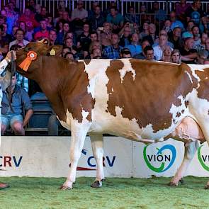 J&G Redspot 36, een Carmanodochter van Jan Hoegen en Jouke Kloosterman werd 1B. De koe liep tot een dag voor de NRM in het koppel bij Hoegen en kreeg geen speciaal rantsoen. Jan Hoegen: “Ik weiger al die extra moeite te doen. Het moet zo kunnen, anders bl