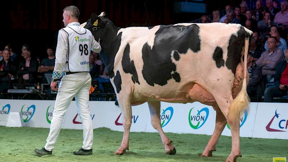 Ook op 1B in rubriek 7 liep een Moguldochter: Emily 990 van de combinatie Uineken/Tijhuis uit Dalen.