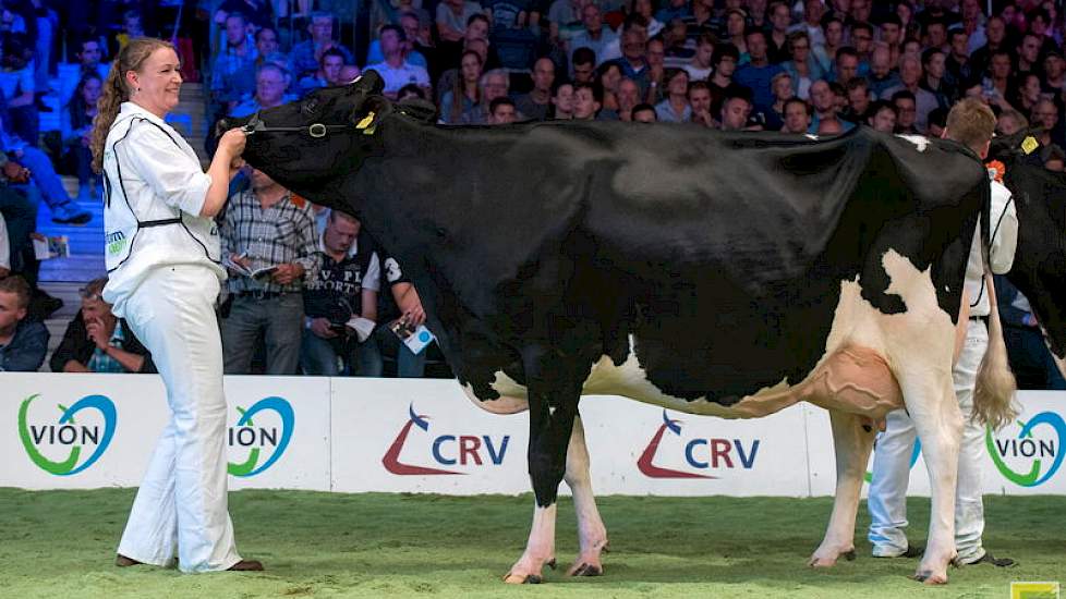 Anita 54, een Goldwyndochter van de familie Talsma uit Wergea werd derde in deze sterke rubriek.