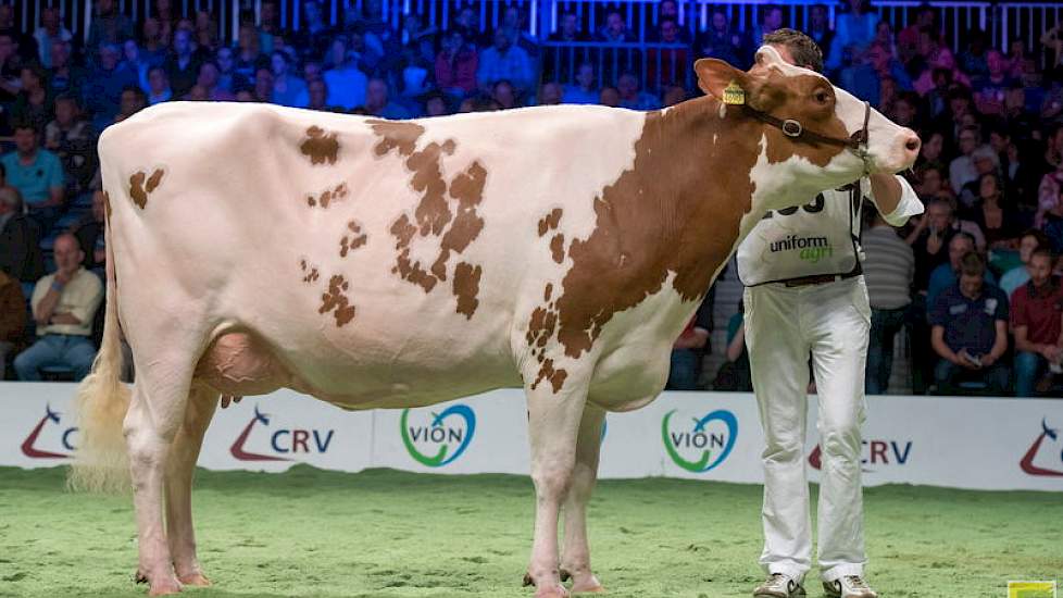 Nijkamp Ria 85, een Jotandochter van de familie Bouwmeester uit Lochem legde beslag op de 1B-positie.