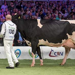 Goldwyndochter Veenhuizer Gold One van Jannes Uineken uit Dalen pakte de 1B-positie.