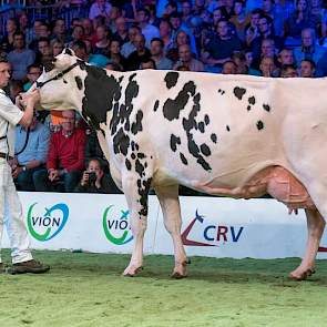 Oud-NRM kampioene Jimm. Holstein Hellen 589 was tot vreugde van velen terug op de NRM en legde beslag op de 1B-positie.