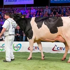 Hiltje 1579 van Ronnie Altenburg uit Koufurderrige werd 1B. De Shadowdochter liep lang voorop, maar werd door keurmeester Jos Knoef uiteindelijk op 1B gezet vanwege een beter beengebruik door Dikkie 183.