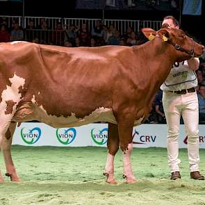 Acmedochter Grashoek Anastacia 11 van de familie Engelen uit Grashoek is de reservekampioene van de keuring in Asten-Heusden en werd hier 1B.