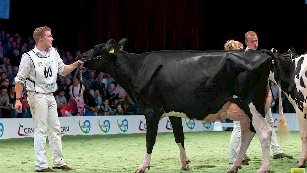 De 1B-positie was voor de fraaie Jordandochter Prairie-Hoeve Jolanda 134 van de familie Jonkers uit Dwingeloo. Zij was het tweede hooggeplaatste door Alex Verwaaijen gefokte dier op deze dag.