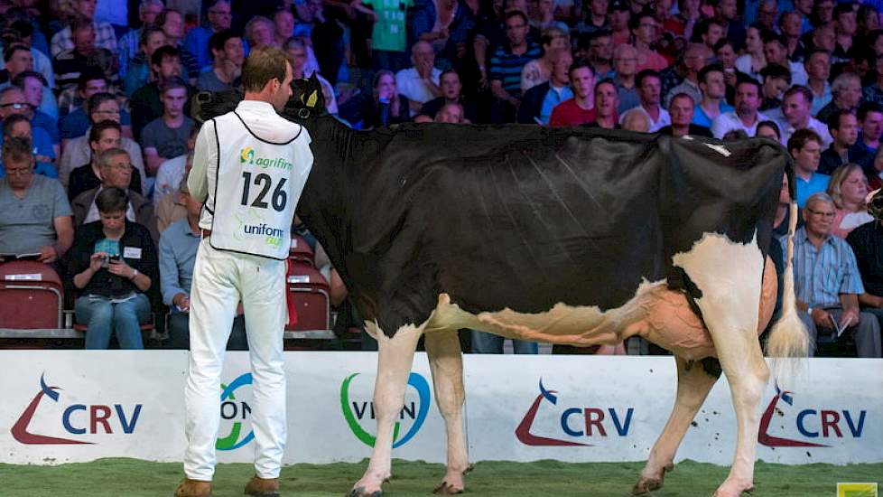 Ook bij zwartbont werd het niveau hoger naarmate de dag vorderde. De zeer fraaie Windbrookdochter Geertje 567 van Teus van Dijk en Wouter de Bruin uit Giessenburg voerde rubriek 9 aan.