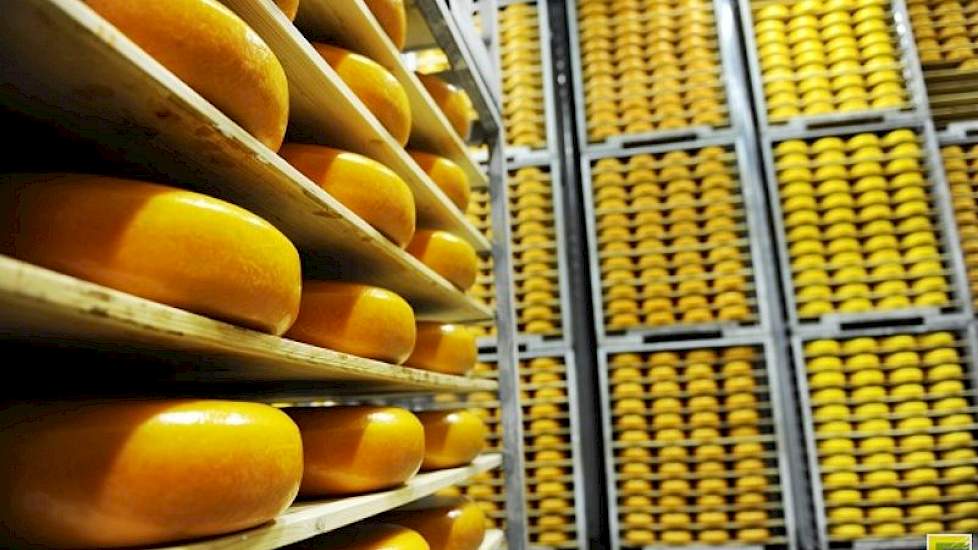 Veel Duitse kaas voor Nederlandse markt Melkvee.nl